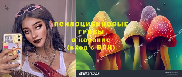 крисы Гусев