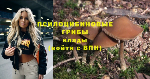 прущая мука Гусь-Хрустальный
