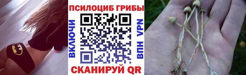 Псилоцибиновые грибы ЛСД  Купить где  Курильск 